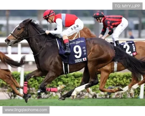 国家队迎战新西兰全力争胜展现团队精神与竞技风采