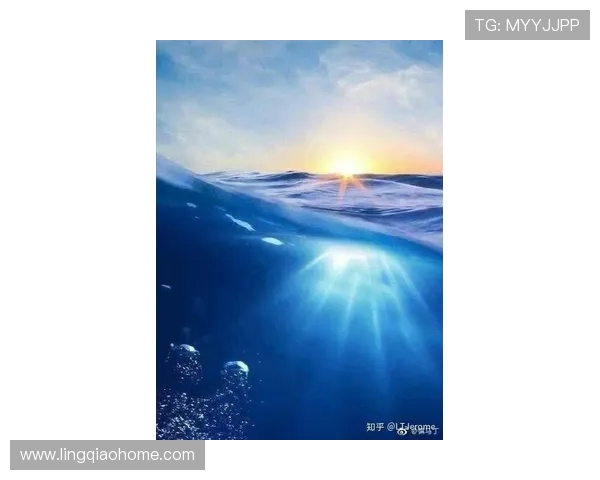 湘南海洋与山形山神激战正酣谁能在这场对决中笑到最后 湘南海洋与山形山神激战正酣谁能在这场对决中笑到最后