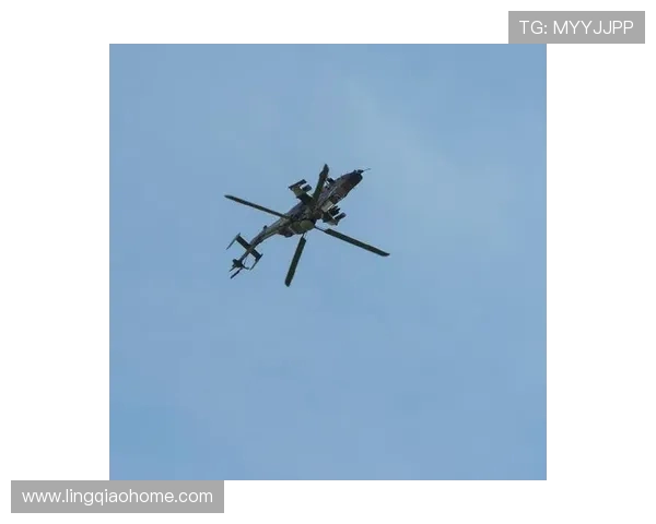 阿联酋与沙特谁能在这场激烈对决中胜出分析与预测