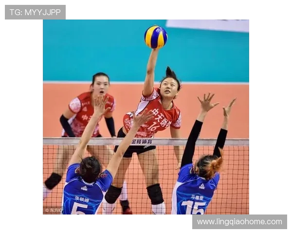 南京排球队实力对比深度解析与未来发展展望