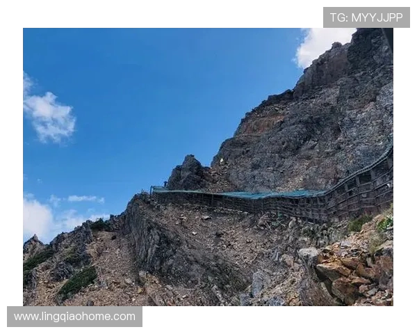 杨芳亲授攀岩技巧与心得体会助你轻松征服高峰