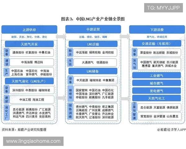 深入分析LNG行业运营策略与市场动态的全景解读 深入分析LNG行业运营策略与市场动态的全景解读