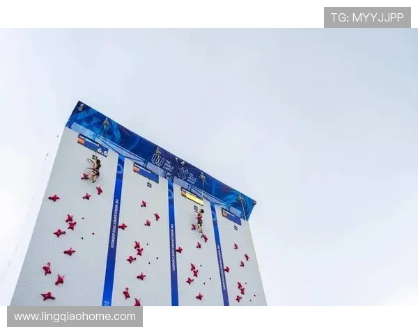 攀岩运动的灵活性探讨：成都攀岩队如何应对挑战与机遇