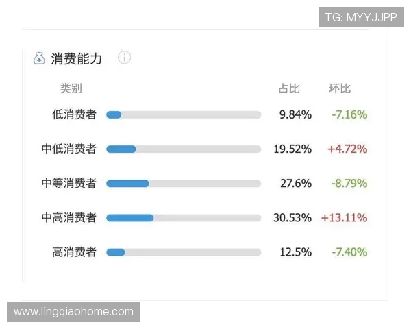 武汉羽毛球队在挑战赛中的团队协作表现分析与点评